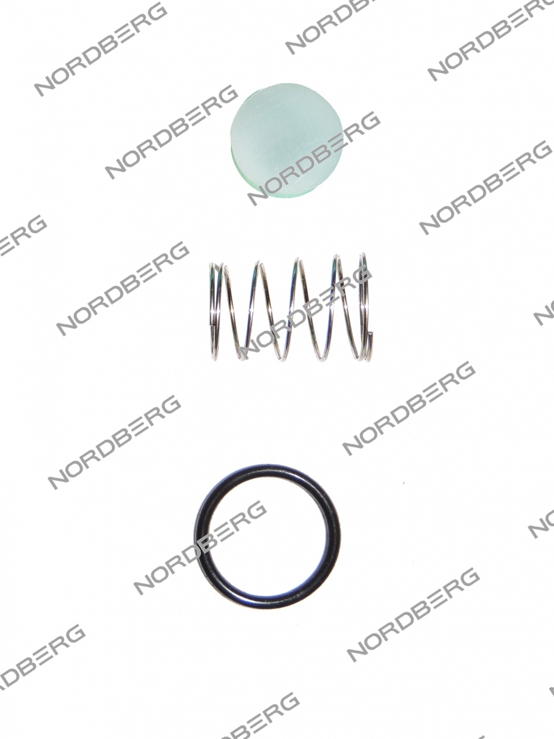 Ремкомплект обратного клапана для NCE50/410V