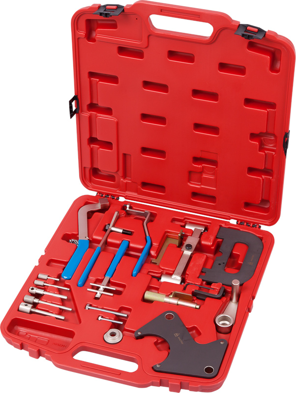 Набор фиксаторов распредвала / коленвала, RENAULT, кейс, 20 предметов 