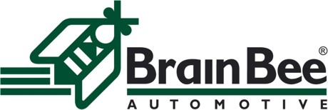 Brain Bee