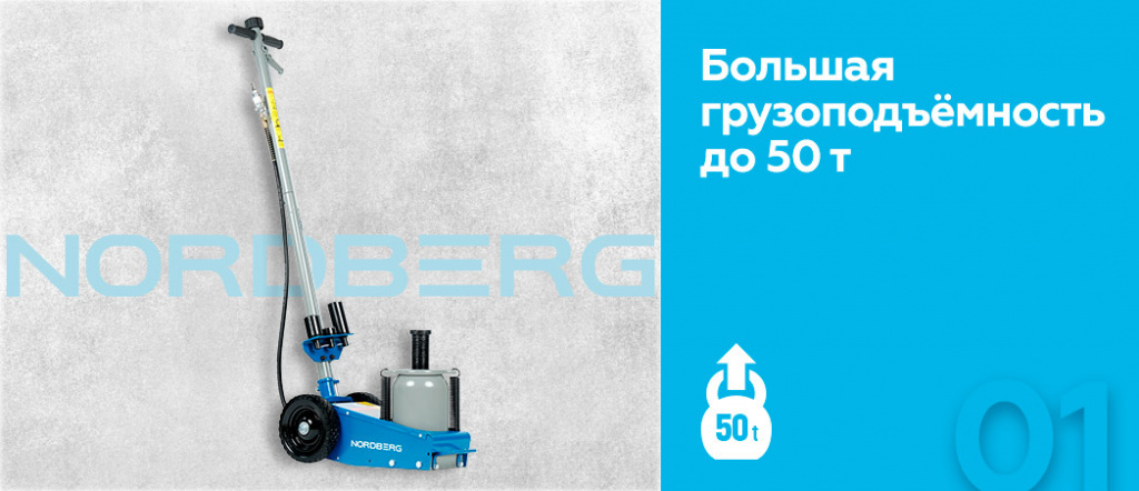 N3350L.rich1.jpg
