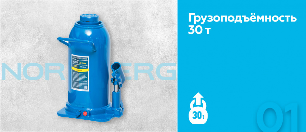N3130.rich1.jpg