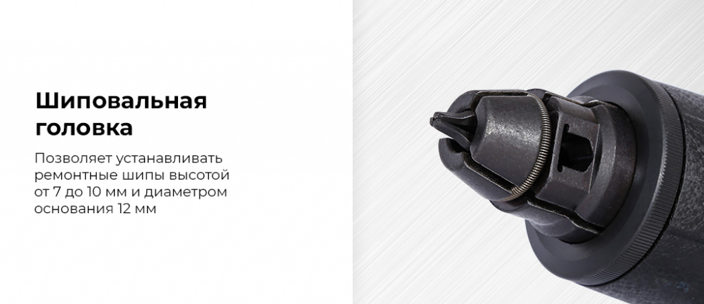 NP5803.rich1.jpg NP5803.rich1.jpg