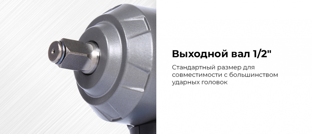 NE805K.rich2.jpg NE805K.rich2.jpg