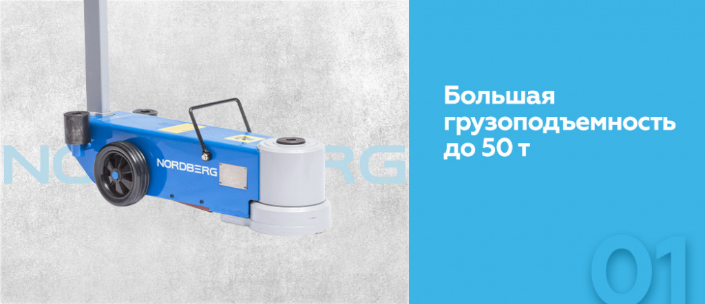 N502.rich1.jpg