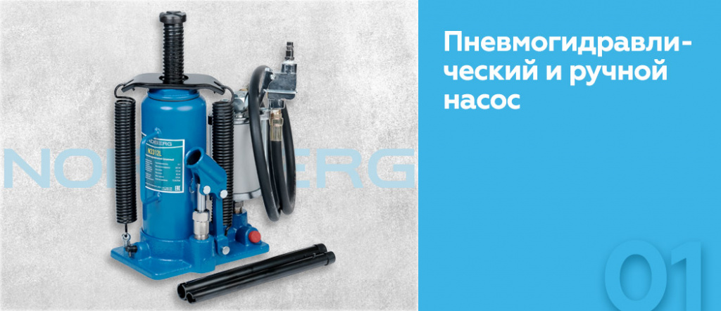 N31312.rich1.jpg N31312.rich1.jpg