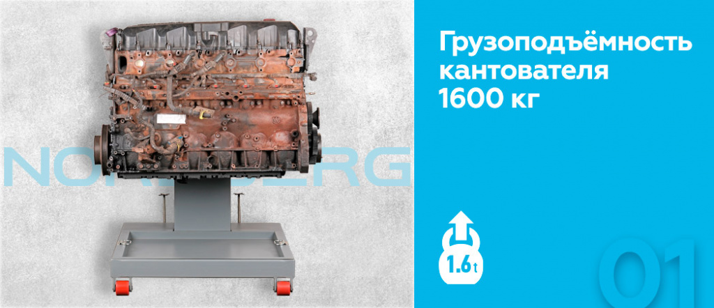 N30160R.rich.jpg