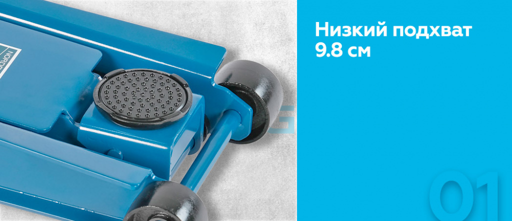 N3204.rich1.jpg N3204.rich1.jpg