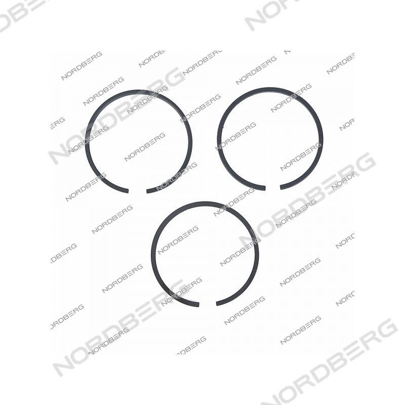 Комплект поршневых колец D55 для NCP100/360A