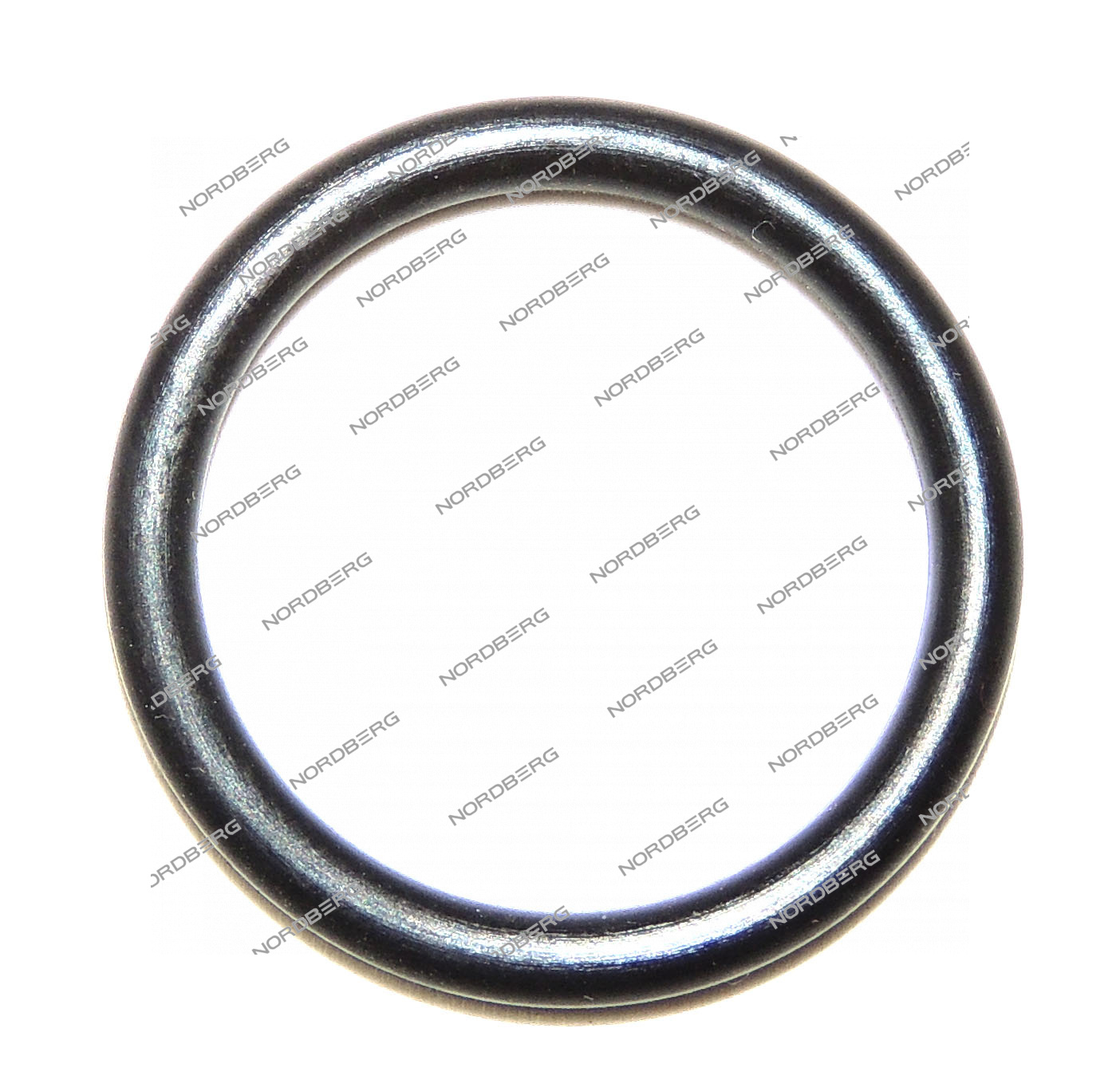 Прокладка (20*2,65) цилиндра отжимного для 4638E NORDBERG X003546 (307)