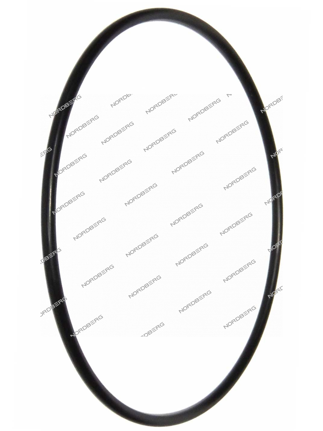 Прокладка (170.8*5.33) цилиндра отжимного для 4638E NORDBERG X003545 (200-321)