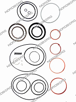 Ремкомплект цилиндра с XTP для домкрата NORDBERG N302