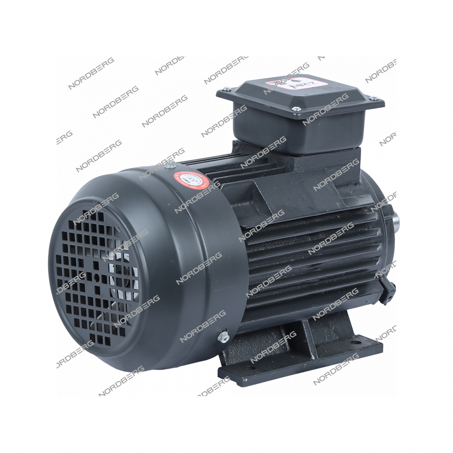 Мотор 220В для NGT20