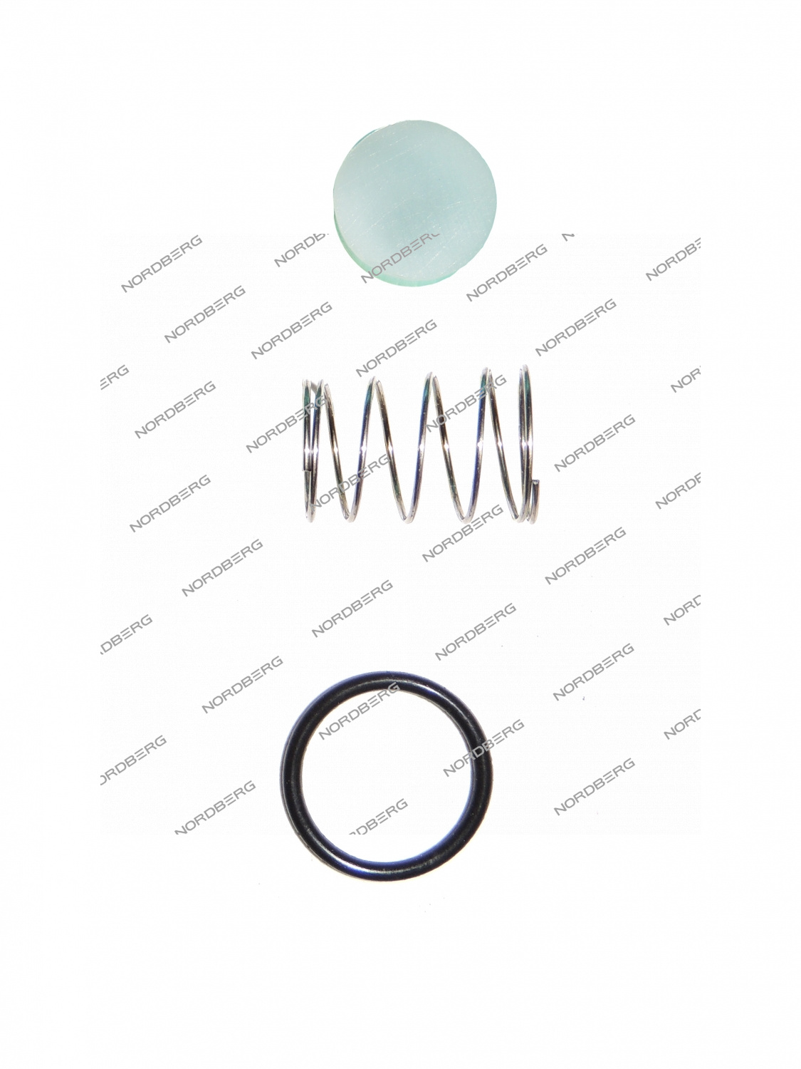 Ремкомплект обратного клапана для NCE50/410V NORDBERG NCE50/410V#RKCV