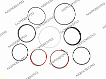 Ремкомплект цилиндра с XTP для домкрата NORDBERG N301