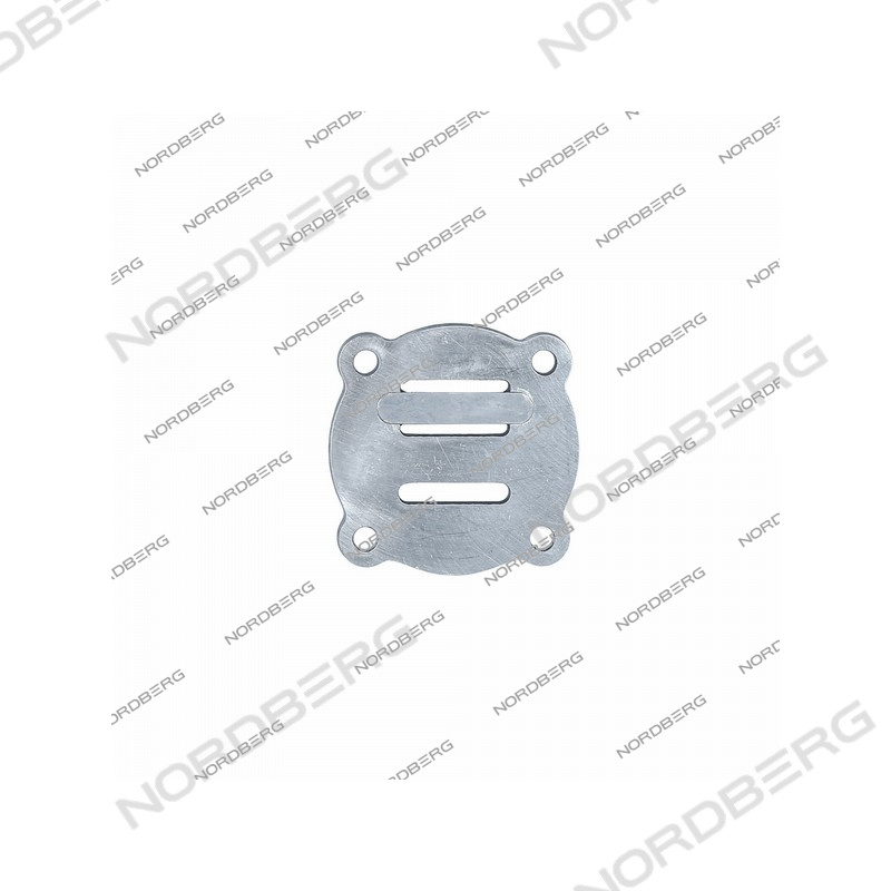 Клапанная плита в комплекте D65, M8 для NCP100/420A, NCP100/420, NCP200/580